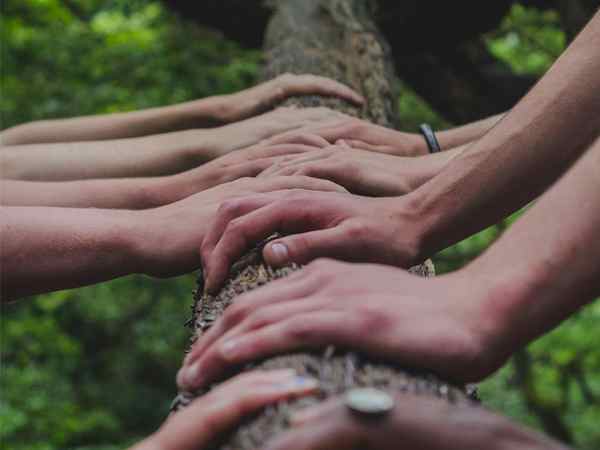 NextPro, partner Odoo